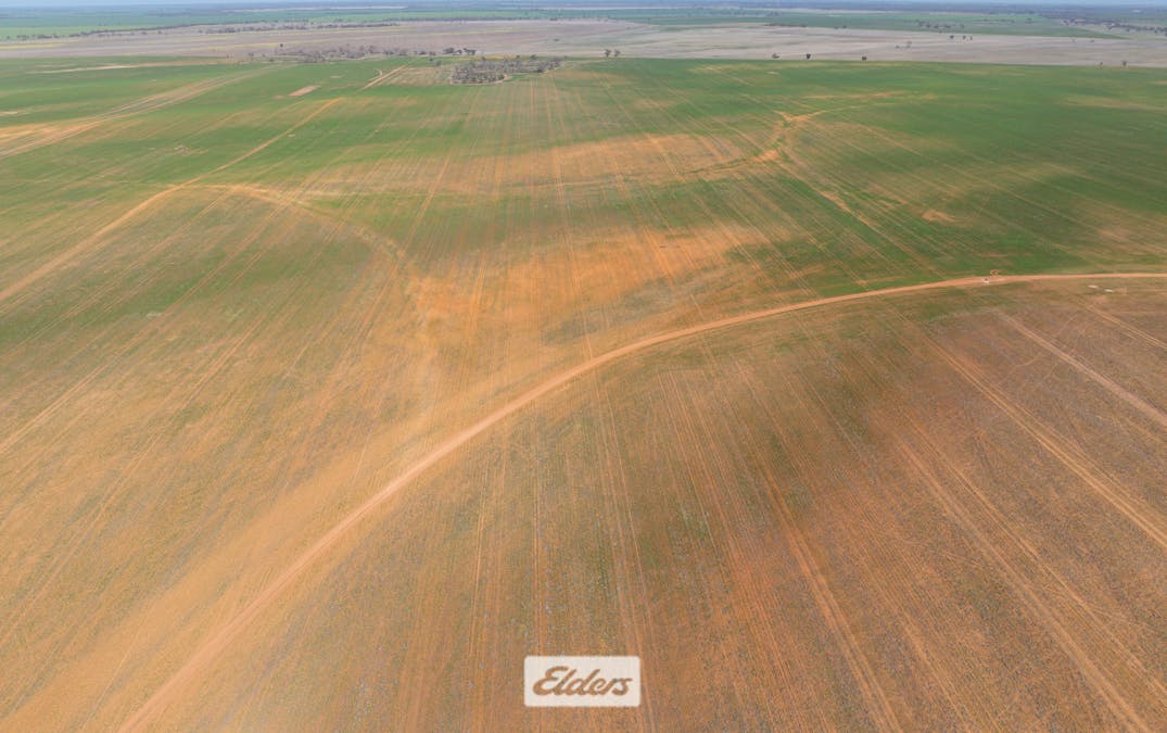 1319 Yanga Way, Kyalite, NSW, 2715 - Image 15