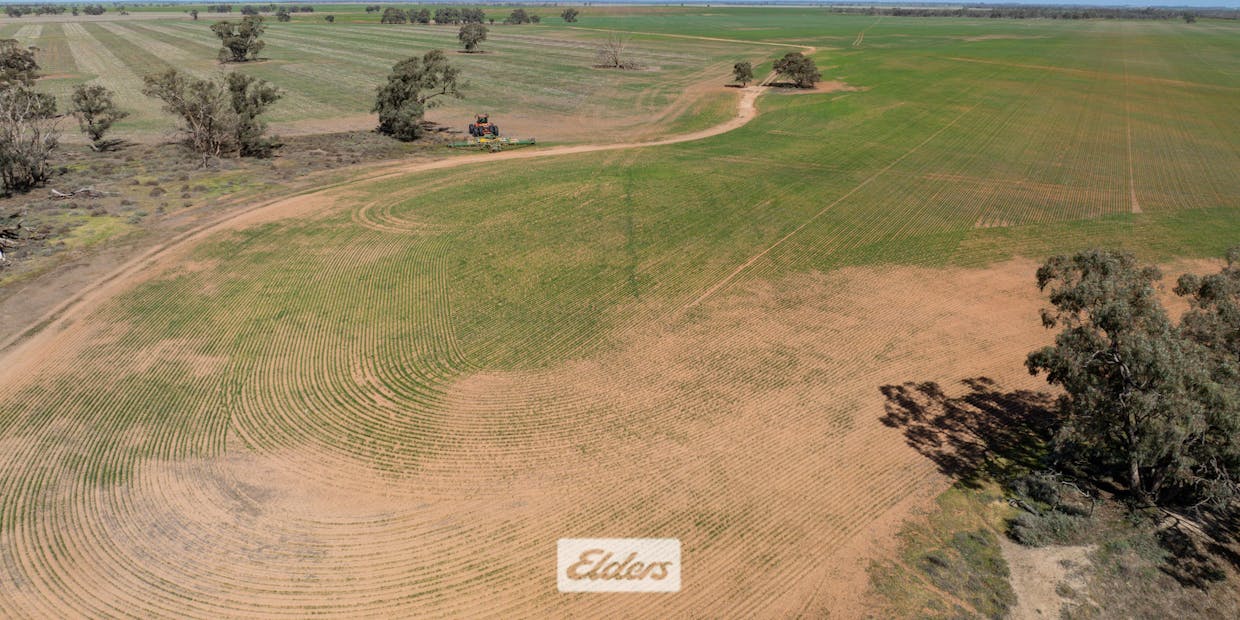 1319 Yanga Way, Kyalite, NSW, 2715 - Image 16