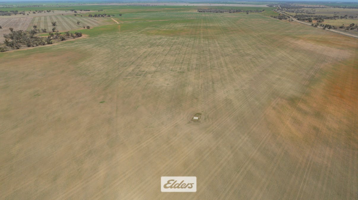 1319 Yanga Way, Kyalite, NSW, 2715 - Image 17