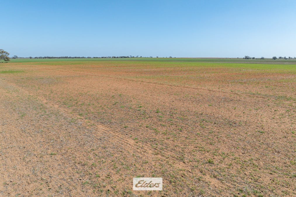 1319 Yanga Way, Kyalite, NSW, 2715 - Image 18