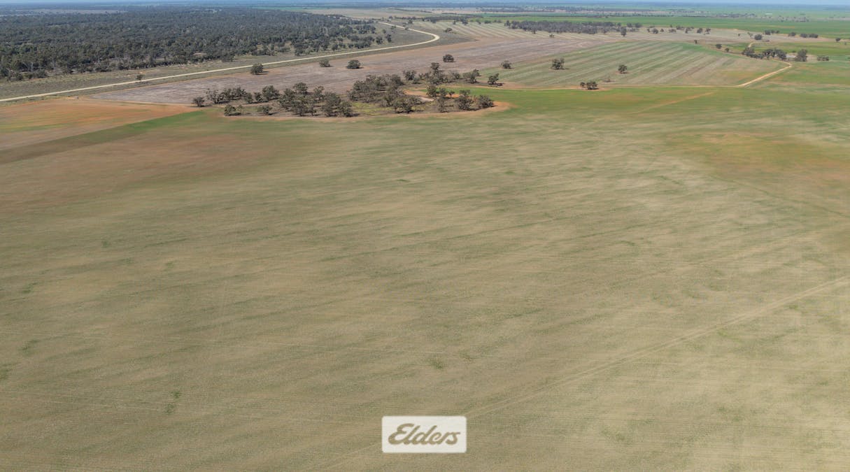 1319 Yanga Way, Kyalite, NSW, 2715 - Image 20