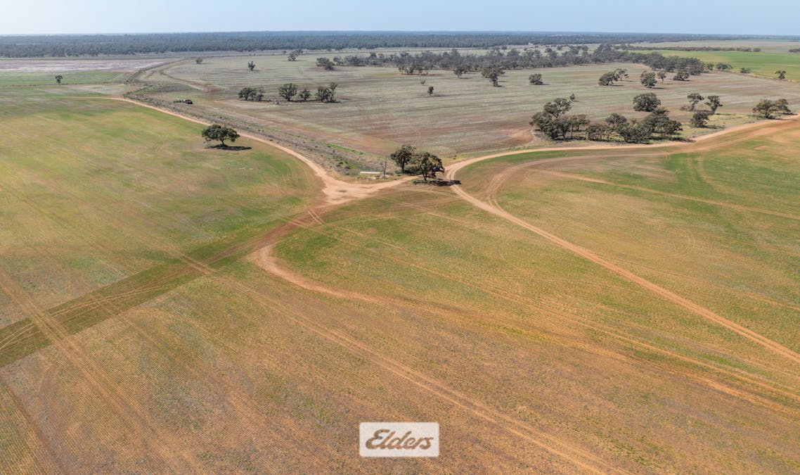 1319 Yanga Way, Kyalite, NSW, 2715 - Image 22