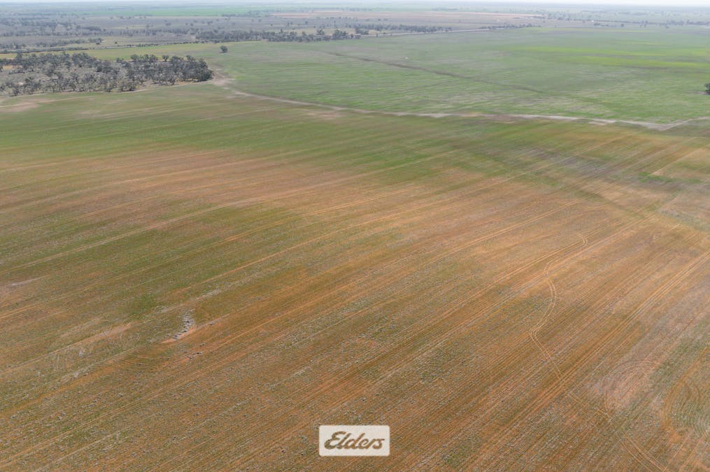 1319 Yanga Way, Kyalite, NSW, 2715 - Image 23