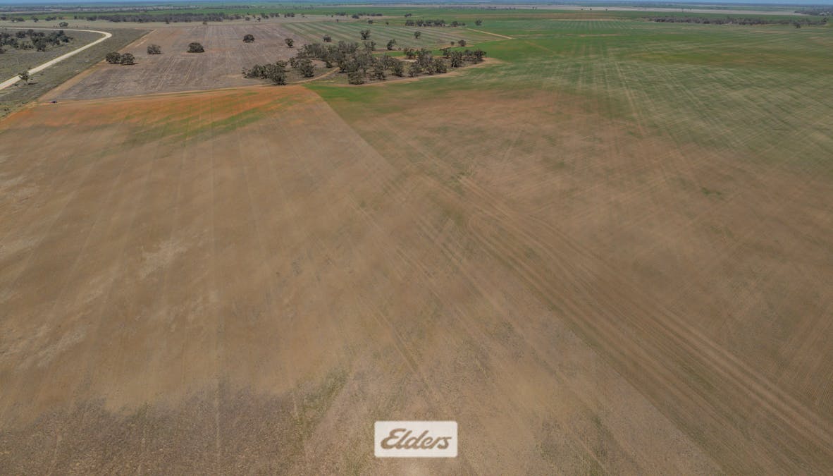 1319 Yanga Way, Kyalite, NSW, 2715 - Image 25