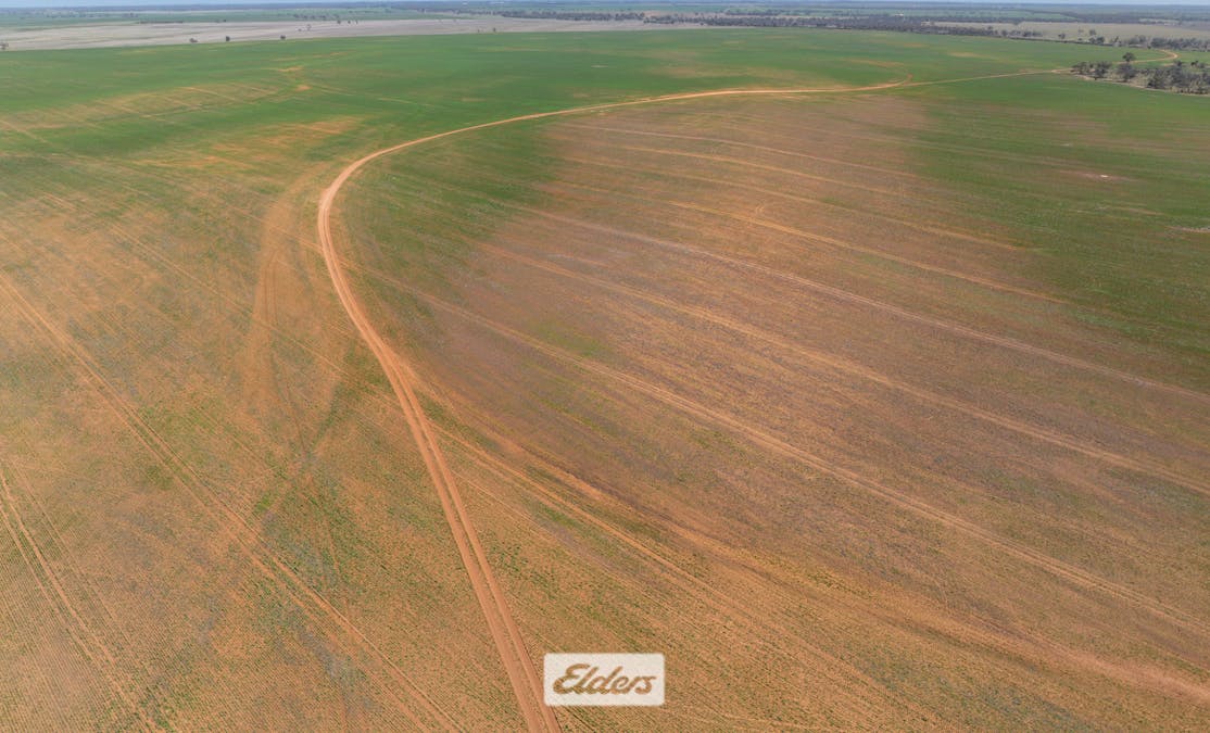 1319 Yanga Way, Kyalite, NSW, 2715 - Image 26