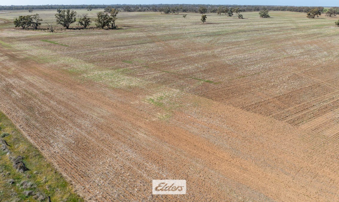 1319 Yanga Way, Kyalite, NSW, 2715 - Image 27