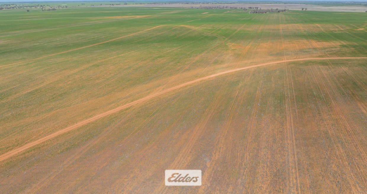 1319 Yanga Way, Kyalite, NSW, 2715 - Image 28