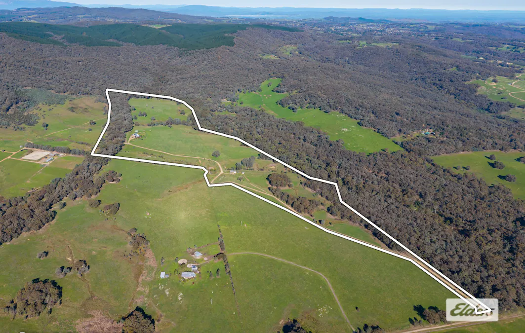 151 Birtles Road, Wooragee, VIC, 3747 - Image 33