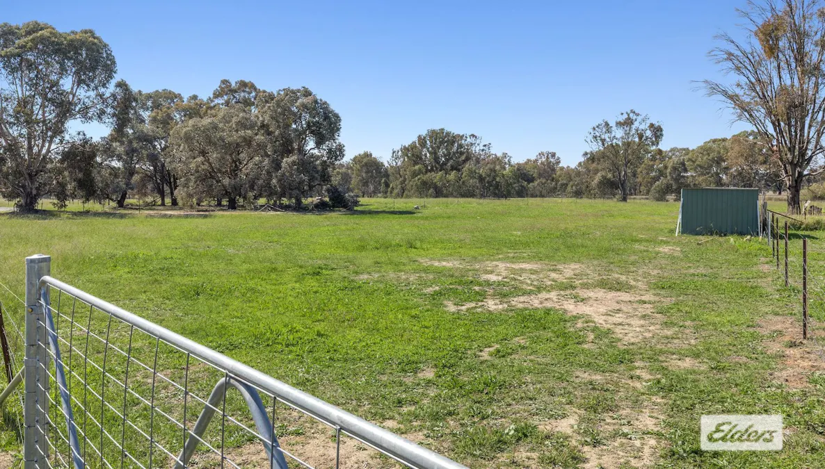 19 Sanctuary Lane, Ettamogah, NSW, 2640 - Image 5