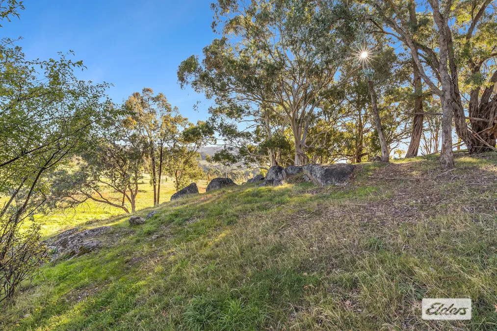 27 Richardsons Race Road, Yackandandah, VIC, 3749 - Image 14