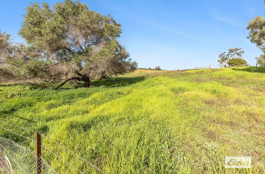 1 Bethanga Bay Road, Bethanga, VIC, 3691 - Image 3