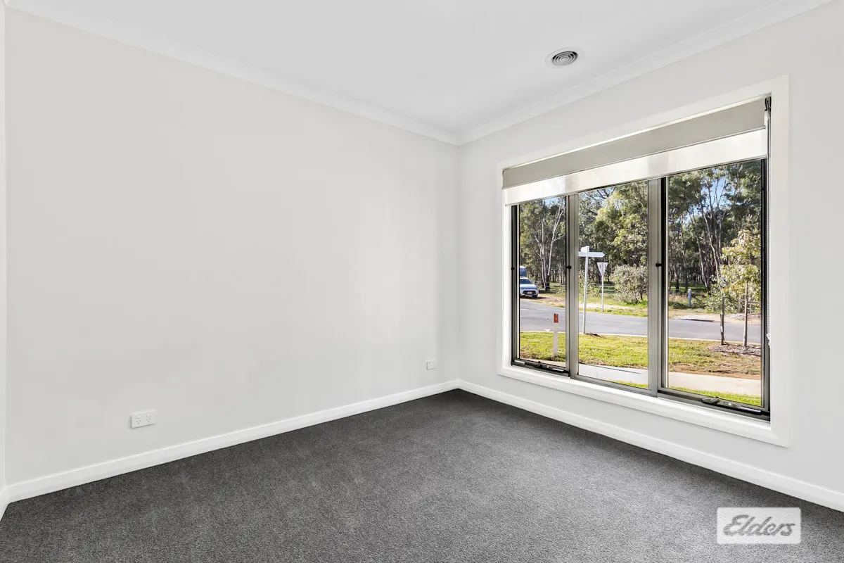 13 Torrens Road — photo 8 of 14