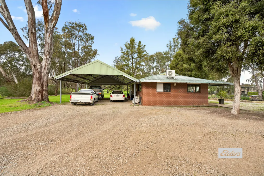 43 Sanctuary Lane, Ettamogah, NSW, 2640 - Image 3