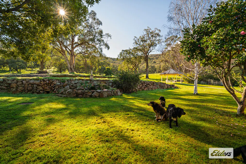 191 Ferndale Road, Woomargama, NSW, 2644 - Image 27