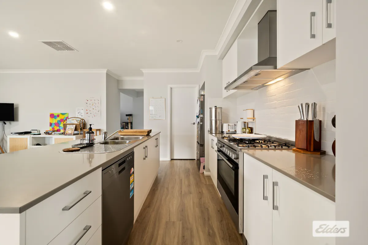 7 Wylie Street — photo 5 of 17