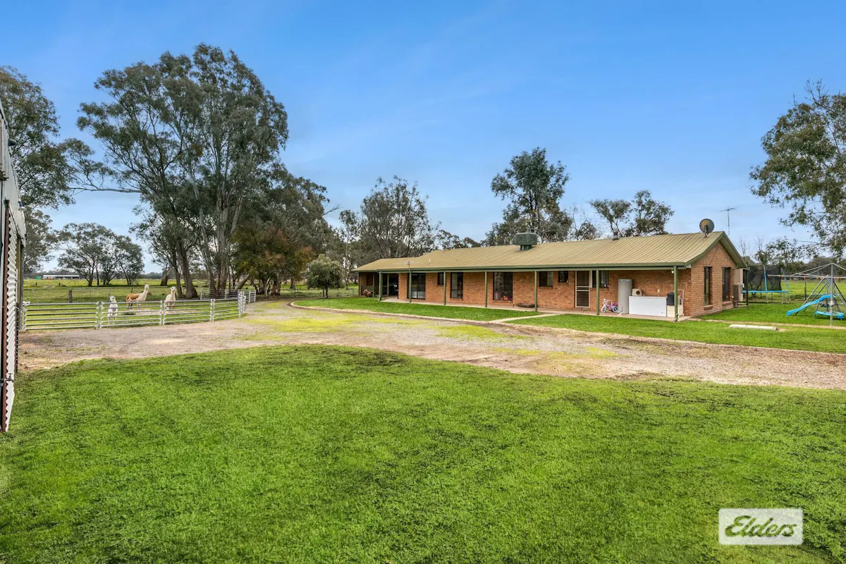 143 Horns Access Road — photo 13 of 17