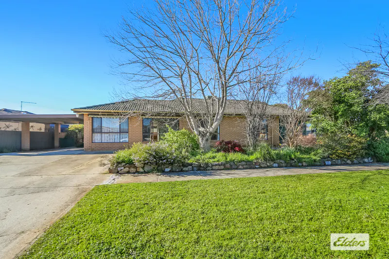19 Robert Crescent, West Wodonga, VIC, 3690 - Image 2