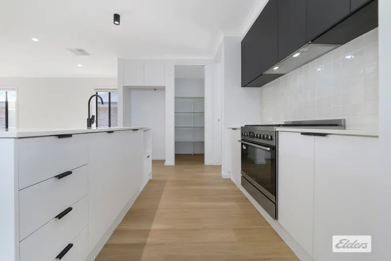 7 Shea Street — photo 3 of 9