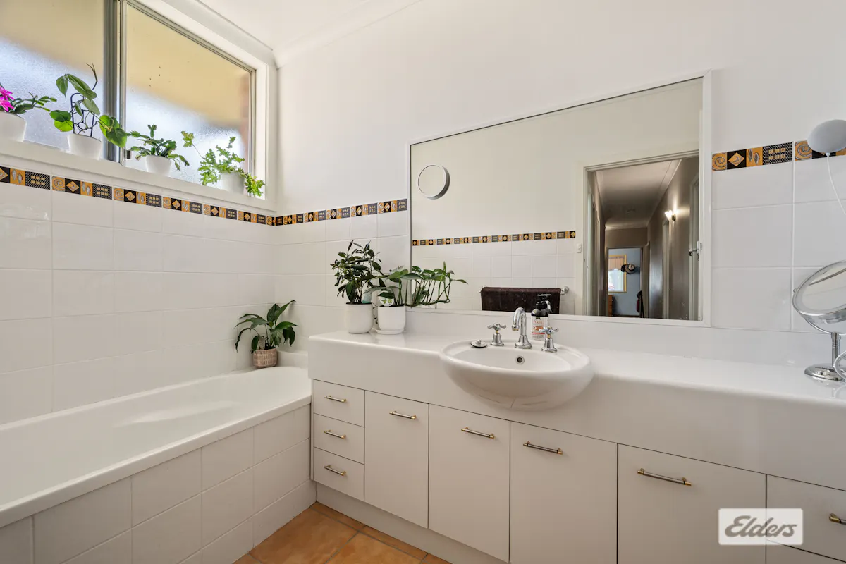 224 Lawrence Street — photo 16 of 29