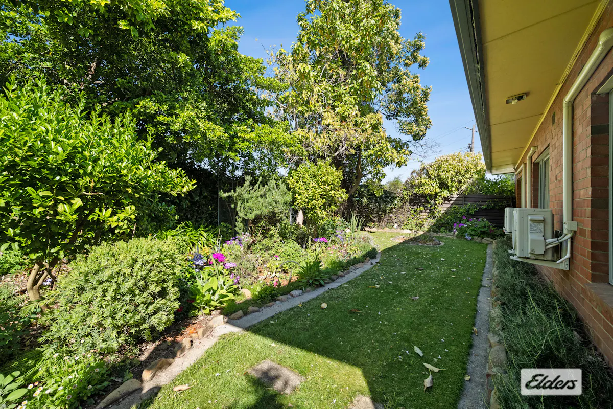 224 Lawrence Street — photo 19 of 29