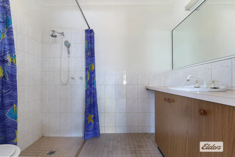 6 Zeinert Street — photo 7 of 9