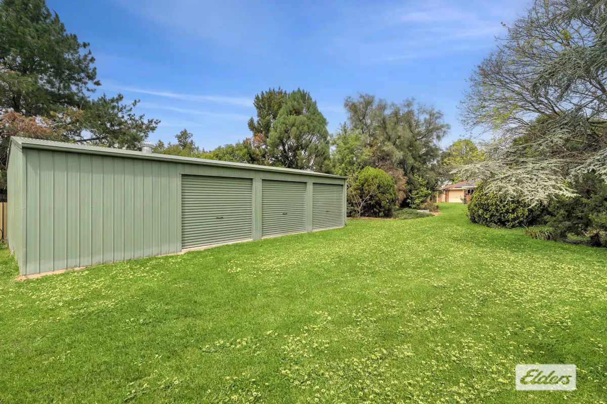 51 Pell Street — photo 12 of 14