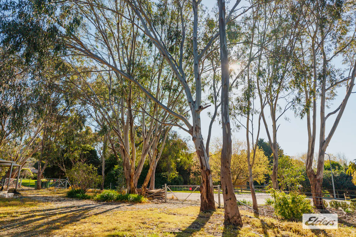 4 Koala Court — photo 23 of 27