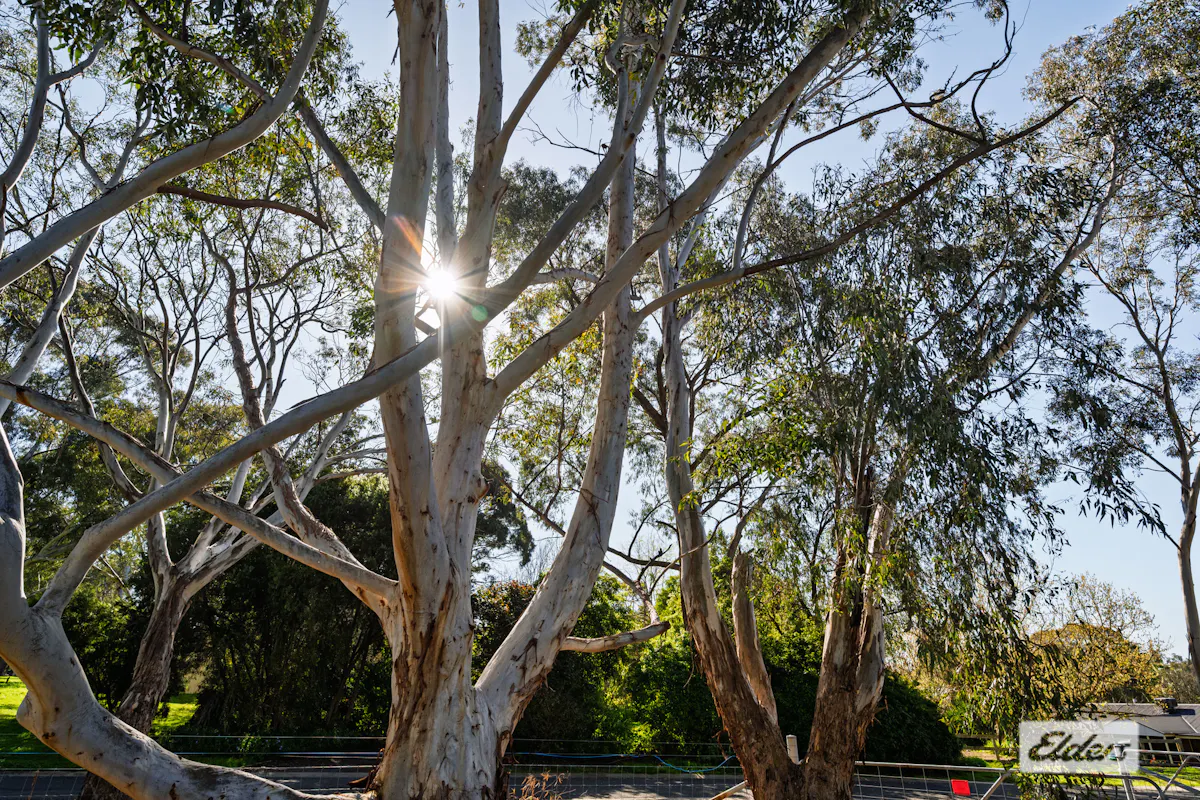4 Koala Court — photo 24 of 27