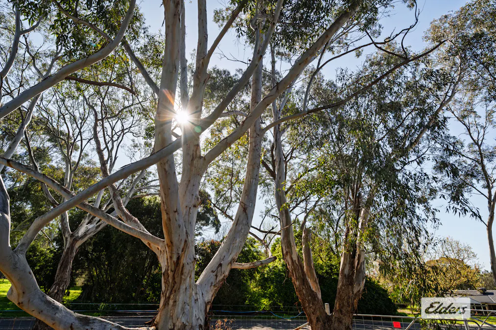 4 Koala Court, Baranduda, VIC, 3691 - Image 24