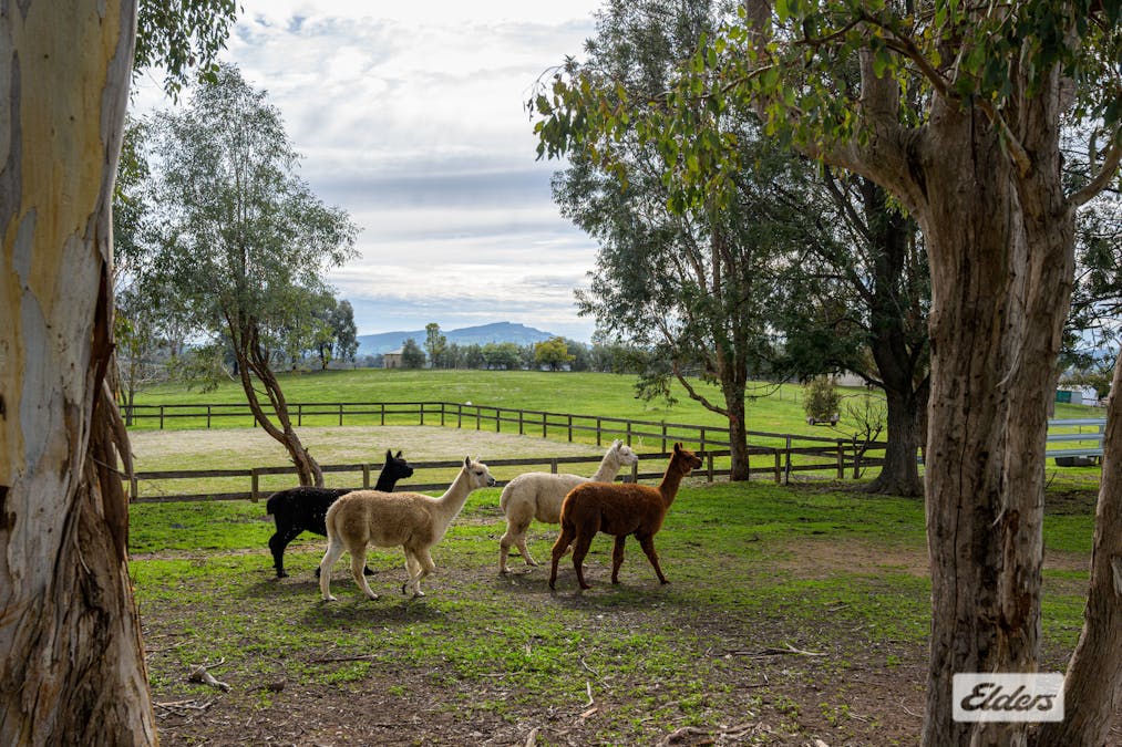 1055 Table Top Road, Table Top, NSW, 2640 - Image 26