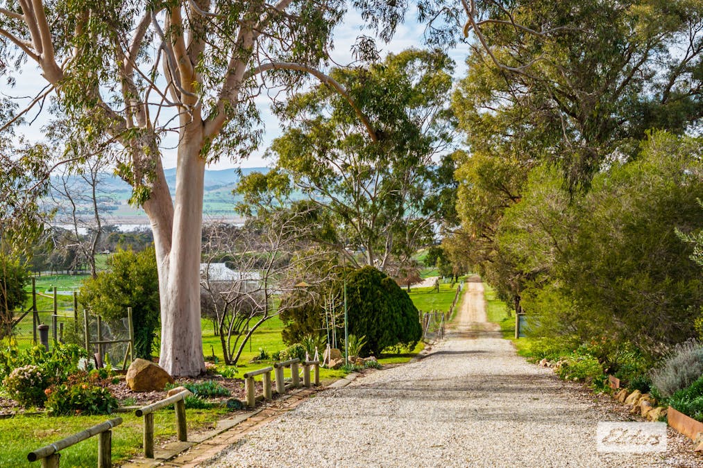1055 Table Top Road, Table Top, NSW, 2640 - Image 3