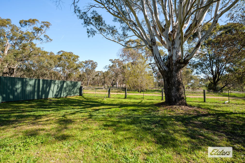 223 High Street, Rutherglen, VIC, 3685 - Image 28