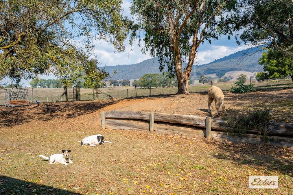 1454 Yackandandah-Dederang Road, Dederang, VIC, 3691 - Image 19