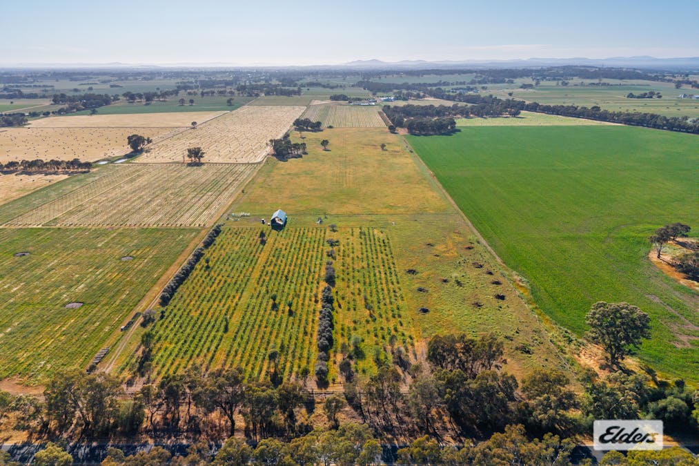 2986 Federation Way, Rutherglen, VIC, 3685 - Image 4