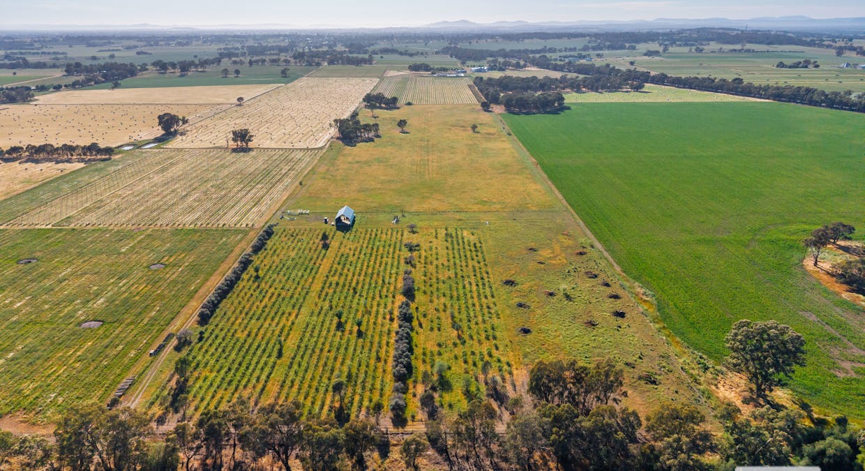 2986 Federation Way, Rutherglen, VIC, 3685 - Image 4