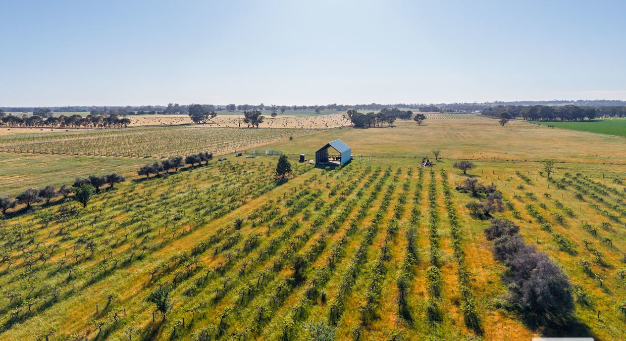 2986 Federation Way, Rutherglen, VIC, 3685 - Image 5