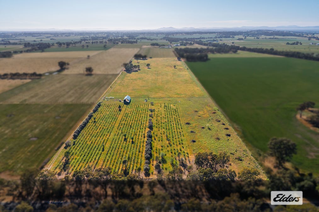 2986 Federation Way, Rutherglen, VIC, 3685 - Image 6