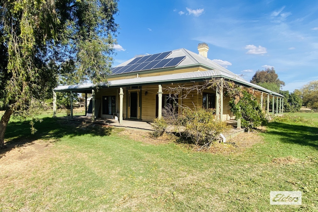 167 Buraja Road, Lowesdale, NSW, 2646 - Image 1