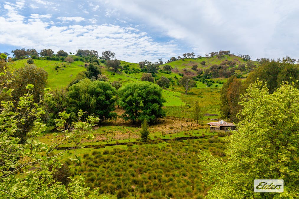 79 Talgarno Gap Road, Bethanga, VIC, 3691 - Image 13