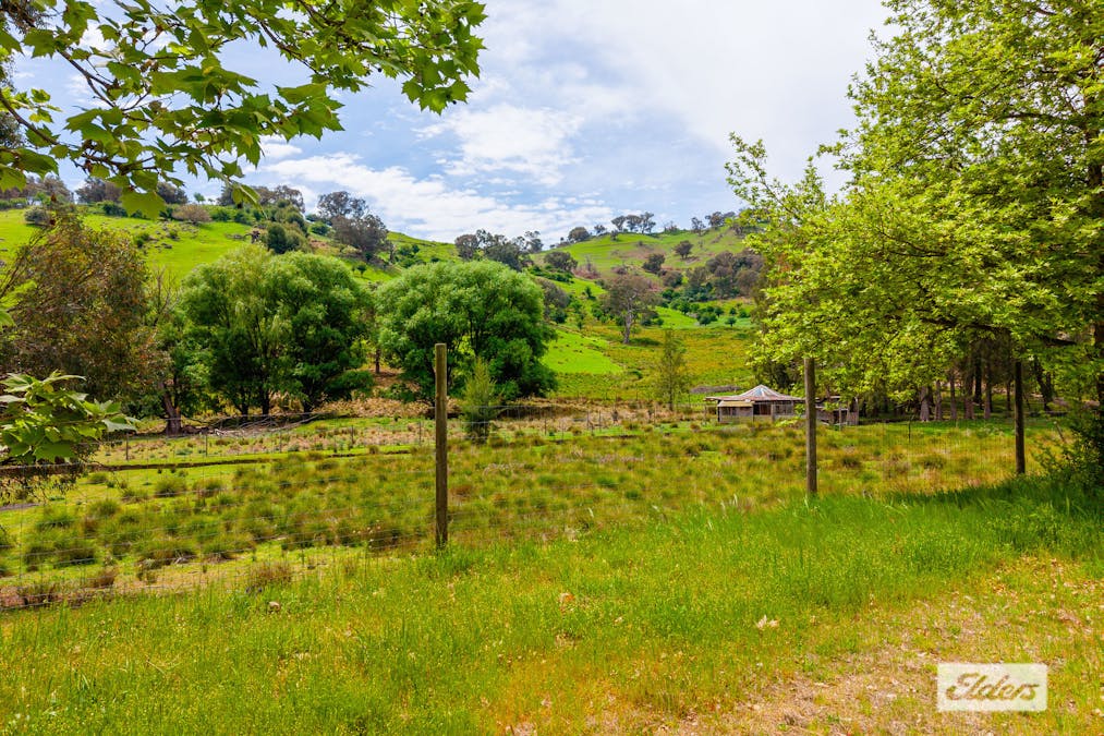 79 Talgarno Gap Road, Bethanga, VIC, 3691 - Image 17