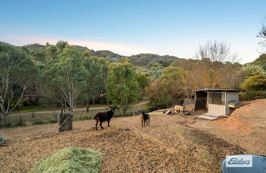 2 Stebbings Lane, Yackandandah, VIC, 3749 - Image 31