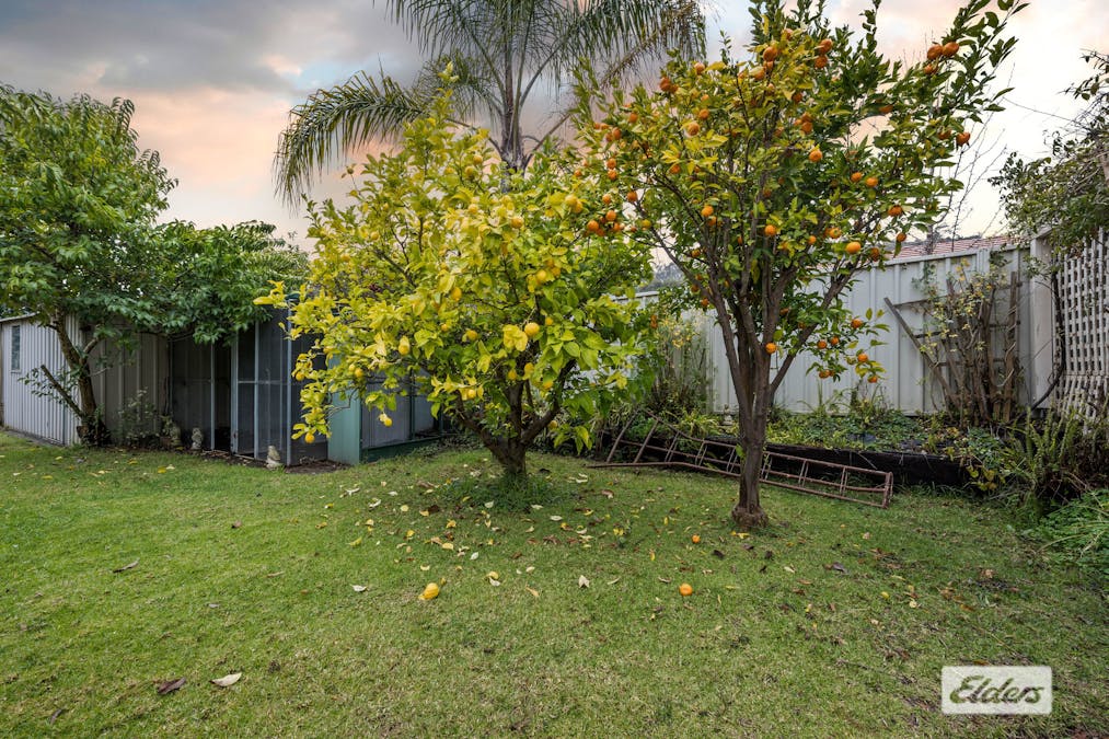 2 Balmoral Drive, Wodonga, VIC, 3690 - Image 19