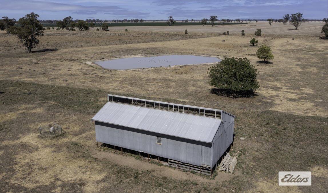31 Orana Road, Howlong, NSW, 2643 - Image 25