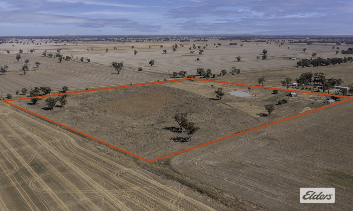 31 Orana Road, Howlong, NSW, 2643 - Image 22