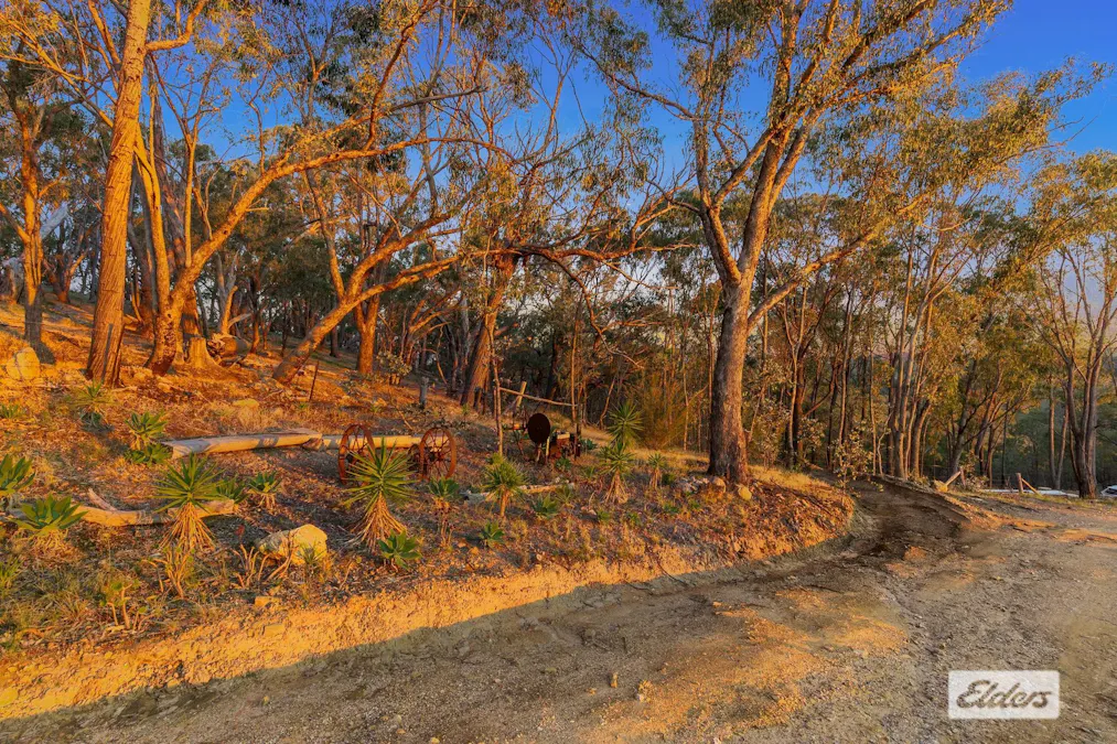 953 Brewers Road, Indigo Valley, VIC, 3688 - Image 6
