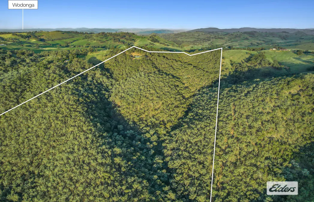 953 Brewers Road, Indigo Valley, VIC, 3688 - Image 14