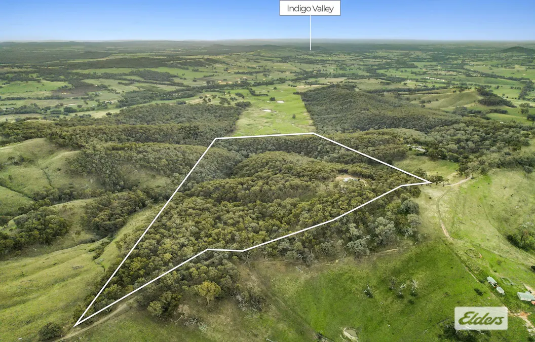 953 Brewers Road, Indigo Valley, VIC, 3688 - Image 15