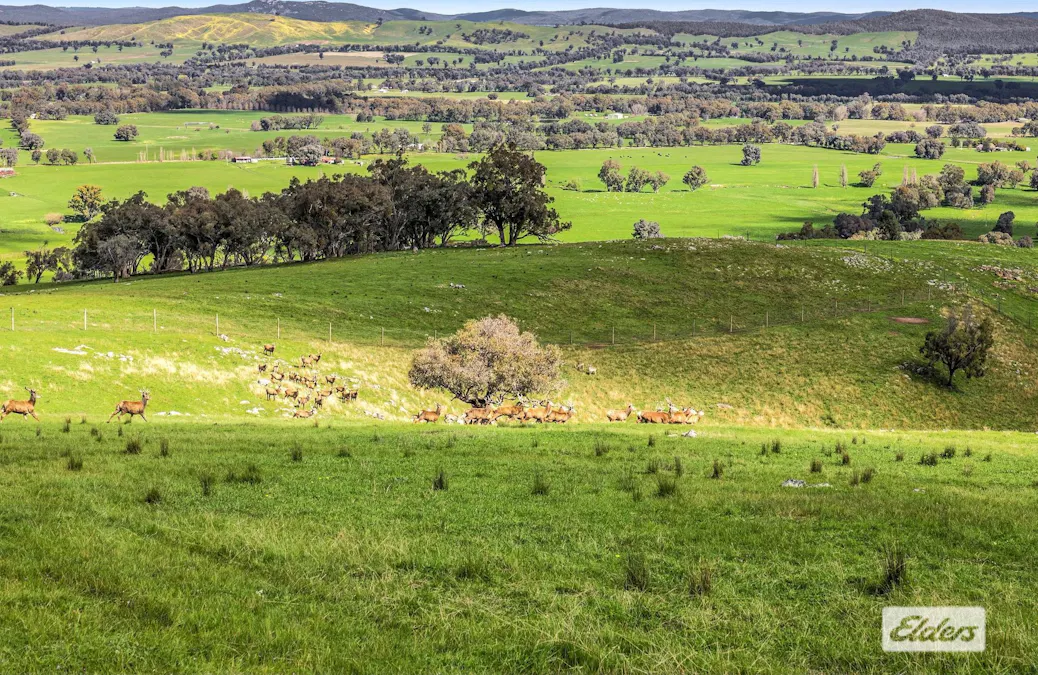 1 Plemings Road, Indigo Valley, VIC, 3688 - Image 5
