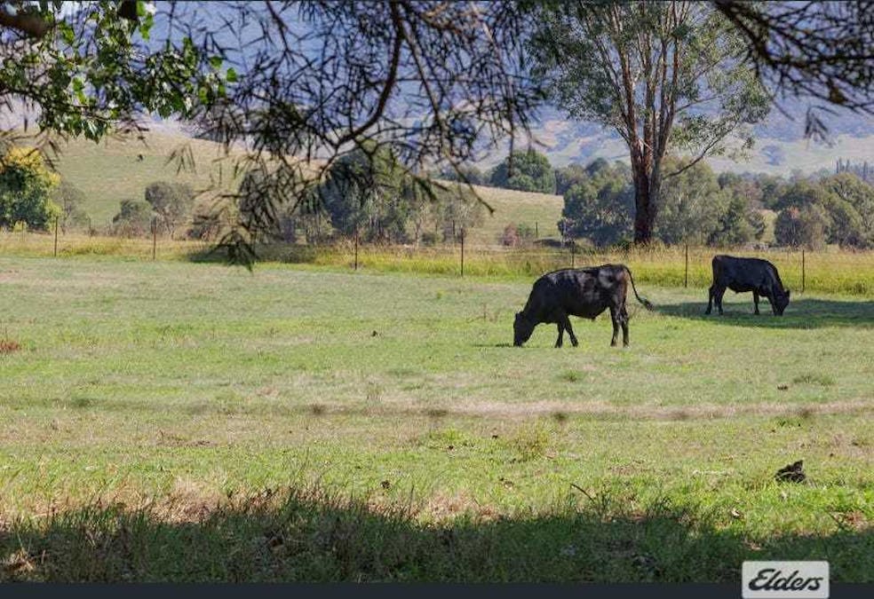 400 Soldier Settlers Road, Tallangatta Valley, VIC, 3701 - Image 10