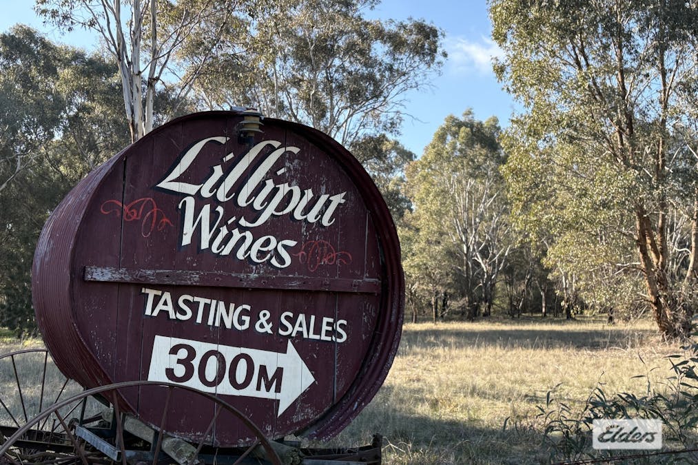 37 Withers Road, Lilliput, VIC, 3682 - Image 3